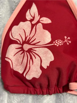 Wild Fable Red Floral Bikini Top with Pink Trim — Size L thumbnail 2