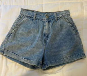 American Eagle Dad Shorts thumbnail 1