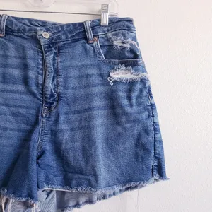 American Eagle Curvy Mom Short Distressed Denim Jean thumbnail 2