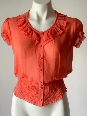 Y2K Coral Ruffled Trim Short Sleeve Sheer Blouse thumbnail 1