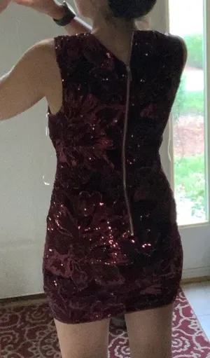 Windsor Sequin Dress thumbnail 3