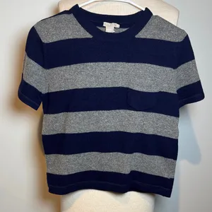 J. Crew Navy and Gray Striped lambs wool Short Sleeve Tee thumbnail 1
