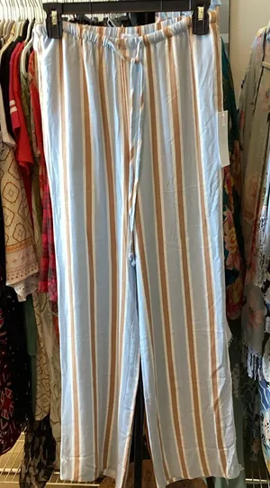 Sienna sky Light Blue and Tan Striped  Drawstring Pants thumbnail 1