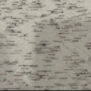 NWOT Crewneck sweater thumbnail 4