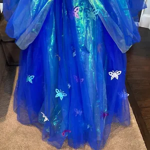 Gorgeous Fairy Tale Cinderella Dress with Butterflies Size 14 NWT thumbnail 3