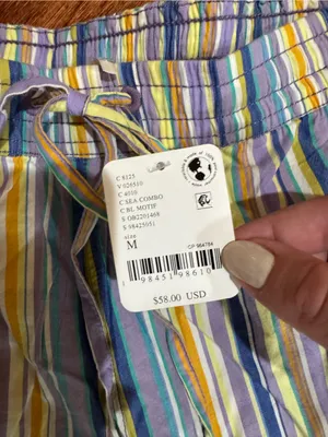 Free People Saylor Poplin Stripe Shorts NWT Size M thumbnail 5