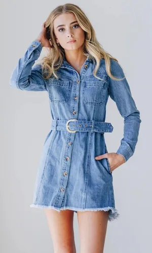 Long Sleeve Denim Mini Dress thumbnail 1