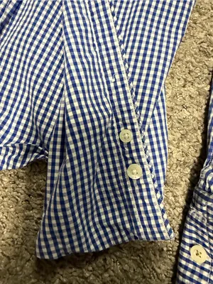 American Eagle Outfitters Blue Gingham Button-Down Shirt thumbnail 4