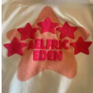 Aelfric Eden Starcore Pink Towel Embroidery Oversized Hoodie Cream XS Y2K‎ thumbnail 5