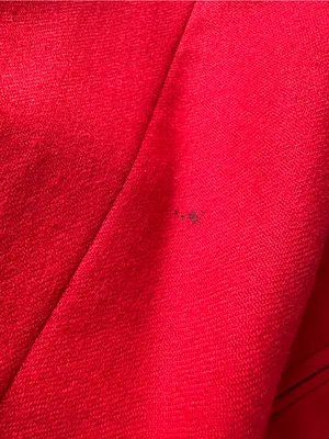 Donna Liara Red Wool Blazer Jacket Double Breasted Italy Size 11/12 Vintage thumbnail 11