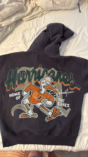 Hollister Boxy Oversized Hoodie thumbnail 2