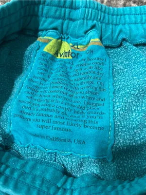 Aviator Nation Women's Size XL Teal Blue Green Fleece 5 Stripe Sweat Shorts thumbnail 3