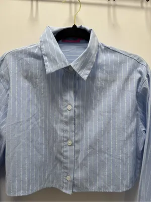 Edikted Sky Blue & White Pinstripe Button Up Crop Top Long Sleeve XS academia thumbnail 3