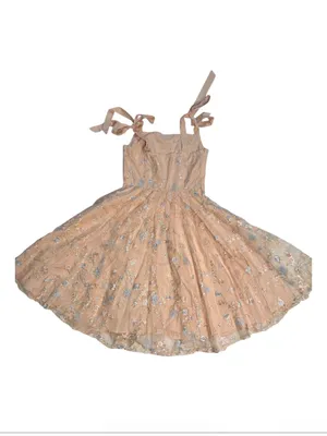 Embroidered Tie-Shoulder Midi Dress in Nude with Blue Accents thumbnail 3