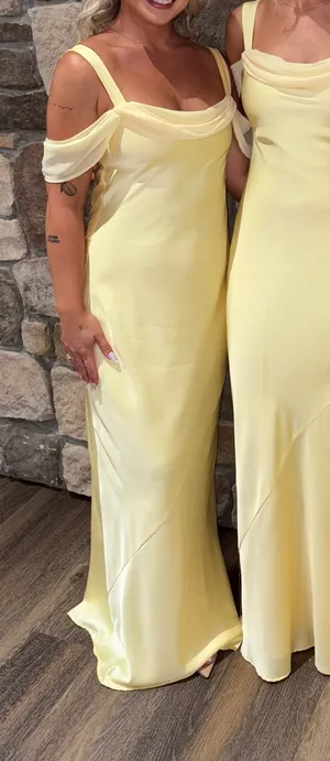 Bridesmaids/ Wedding Guest Dress thumbnail 1