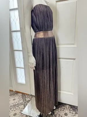 Dress the Population TUBE Metallic Brown Pleated Maxi Dress Wide Belt Sz M C-27 thumbnail 3