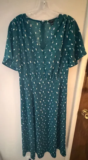 Ann Taylor Dress thumbnail 1