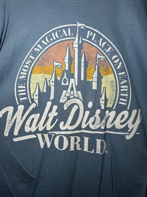 blue cotton Disney Parks Walt Disney World "The Most Magical Place on Earth" graphic t-shirt XL thumbnail 3
