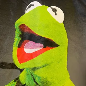 Disney The Muppets Kermit The Frog DREAMER Long Sleeve Shirt NWT Size XL 46-48 thumbnail 3