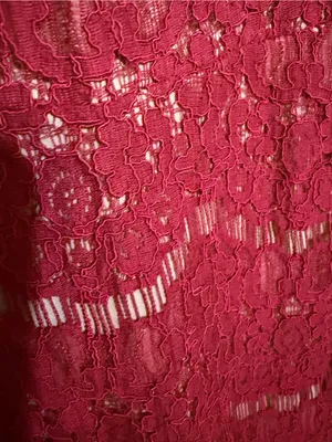 Burgundy Lace Fit & Flare Dress Sleeveless Cocktail Wedding Guest Women’s large thumbnail 8