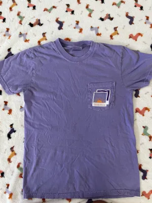 Comfort Colors Purple T-Shirt thumbnail 2