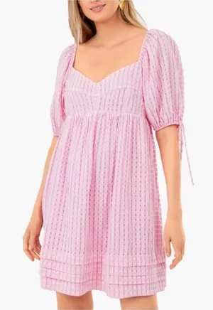 Tuckernuck Hyacinth House Pink Gingham Layton mini Dress Small thumbnail 1