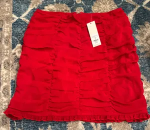 Francesca's Skirt thumbnail 1