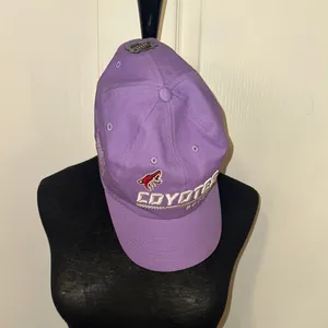 Fanatics NHL HOCKEY ARIZONA COYOTES PURPLE BASEBALL HAT thumbnail 2
