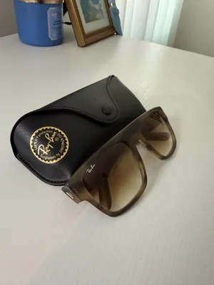 Ray-Ban Sunglasses thumbnail 2