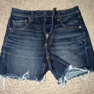 American Eagle Shorts thumbnail 1
