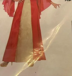 Renaissance Women Queen Princess Royalty Costume Dress Gown Red NEW thumbnail 2