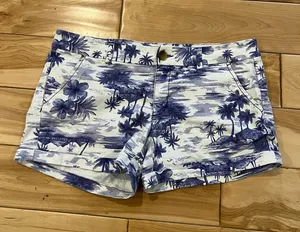 American Eagle Shorts thumbnail 1
