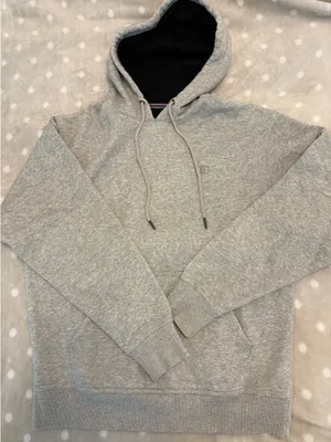 Champion Sweatshirt Grey Hoodie thumbnail 1