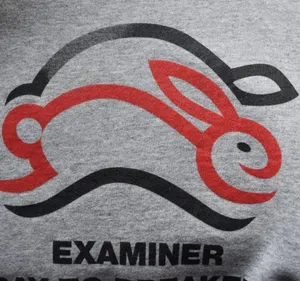 Fruit of the Loom San Francisco Examiner Bay To Breakers Sweatshirt thumbnail 6