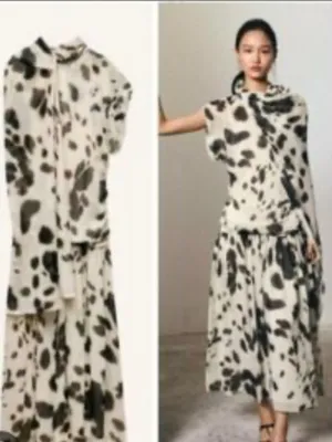 Zara Brown and White Spot Print Sheer Maxi Dress thumbnail 3