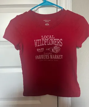 American Eagle Baby Tee thumbnail 1
