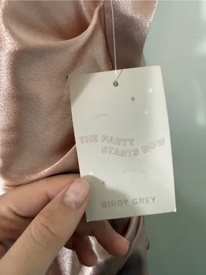 NWT Birdy Grey Lydia Bridesmaid Maxi Dress Shiny Satin Rose Gold Pink XL thumbnail 7