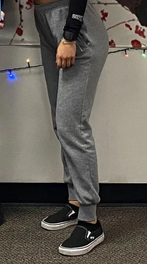 Gray Sweatpants Joggers thumbnail 1