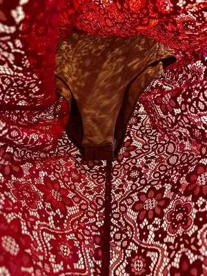 For Love & Lemons Red Dress thumbnail 5