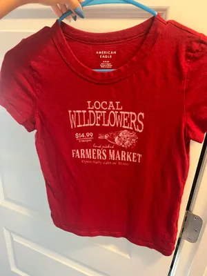 American Eagle Baby Tee red thumbnail 1