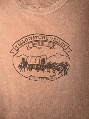 Yellowstone John Galt Brandy Tee thumbnail 2