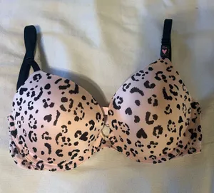 Victoria's Secret NWT Push Up Bra Size 32DD thumbnail 1