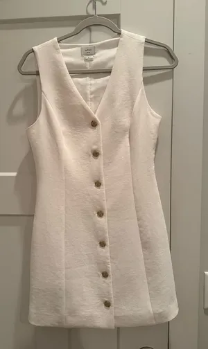 Aritzia Aria Dress thumbnail 1