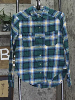 Hollister Womens Flannel Long Sleeve Button Up Shirt Blue / Green S thumbnail 1