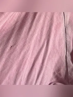 PINK Victoria's Secret Pink Cotton Long Sleeve Pocket Tee thumbnail 4