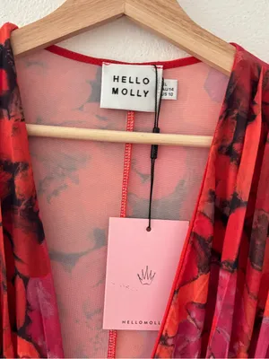 Hello Molly Written Diary Mesh Mini Dress in Red Floral NEW NWT thumbnail 7