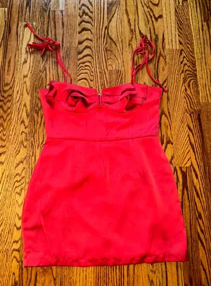 Revolve Red Mini Dress thumbnail 1
