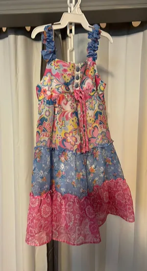 Little girls dress Multiple Size 4 thumbnail 1