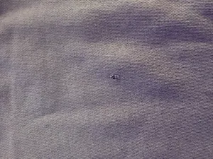 Aerie Crewneck thumbnail 4