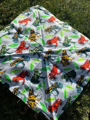 frog bandana thumbnail 2